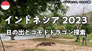 【インドネシア2023 11日目】パダール島頂上からの日の出とコモドドラゴン探索。