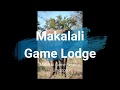 Trip to Makalali Game Lodge