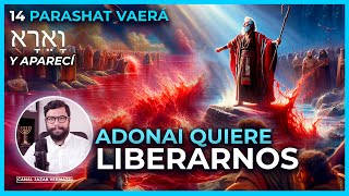 ADONAI Quiere Liberanos y destruir nuestra IDOLATRIA   | #14 PARASHAT VAERÁ (Y APARECÍ )