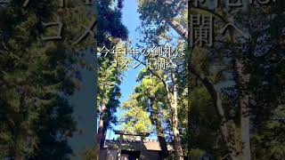 【伊勢神宮⛩内宮✨天照大御神✨今年1年の御礼を伝えに🙏✨遠隔参拝💖】