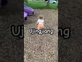 Little Girl Walking in Stop Motion Ujingjiang Meme 👧👧👧🚶‍♀️🚶‍♀️🚶‍♀️🛑🛑🛑