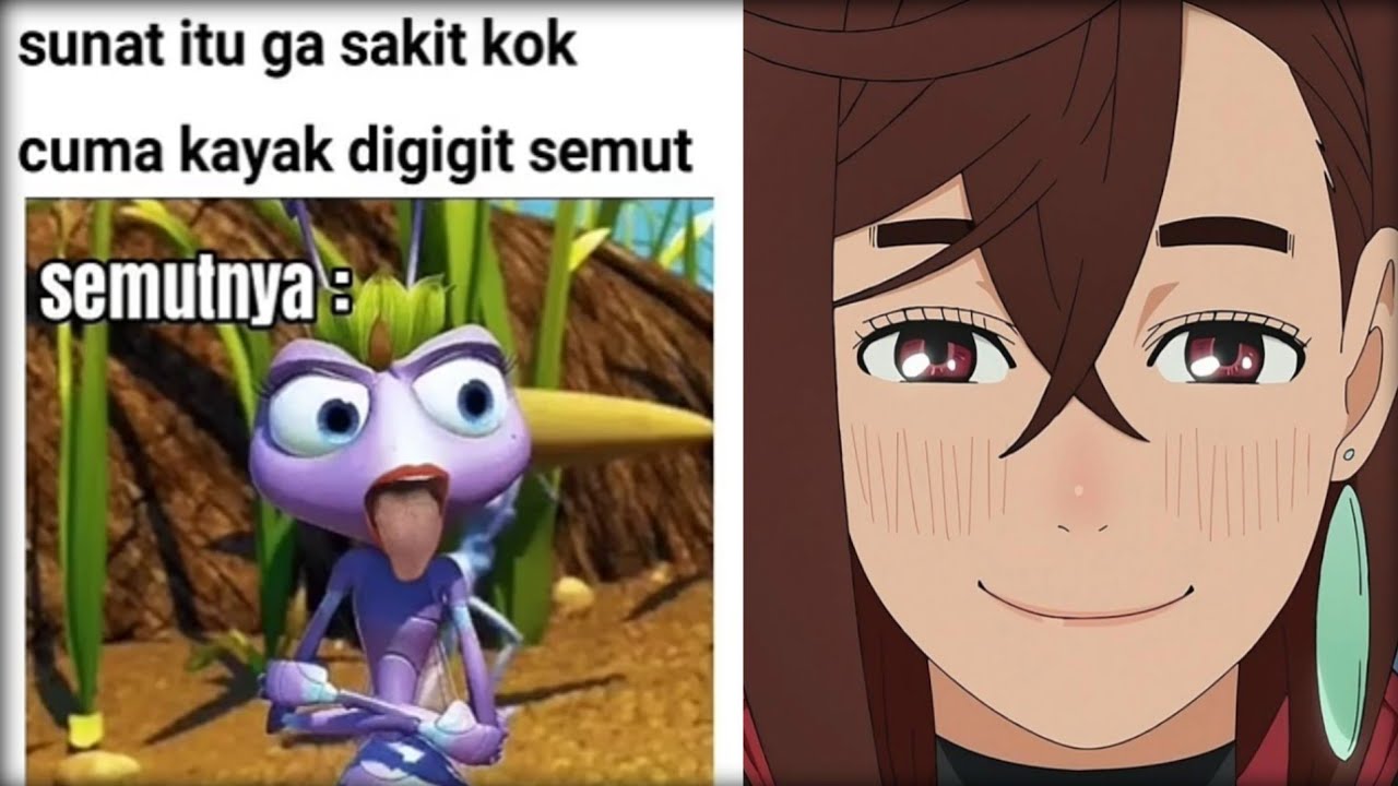 Kompilasi Meme Random 16 Youtube