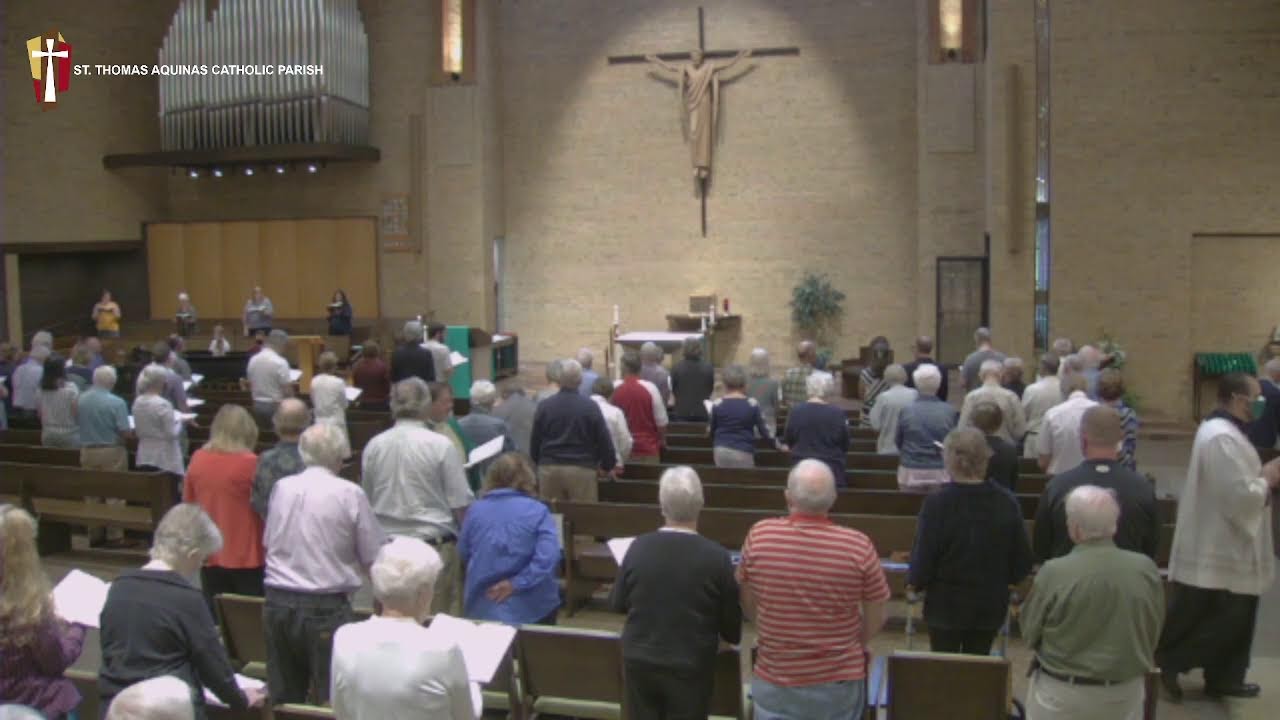 Sunday August 28 2022 8 00 Am Mass Youtube