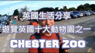 返鄉下UK - 英國生活分享 | 遊覽英國十大動物園之一 | CHESTER ZOO