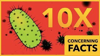 Your Body has 10X More Bacteria than Human Cells