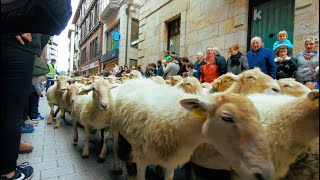 Ordizia, Basque Country of Spain - Día del Pastor