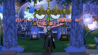 #12　ドラゴンクエスト10　バトルトリニティー練習試合　No.11　　　　バカ賊、参上！