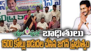 అగ్రిగోల్డ్ బాధితులకు జగనన్న వరం | త్వరలో మొత్తం డబ్బులు చెల్లించనున్న ప్రభుత్వం | Social Tv Telugu