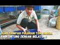 INSPIRASI AREYA JAGA KESEIMBANGAN ALAM MELALUI OLAH SAMPAH ORGANIK DENGAN BUDIDAYA MAGGOT