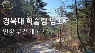 [Vlog #90] 경북대학술림 임도 연장 구간 개통 ? | 임도 라이딩 ! | 4K