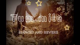 Tum mile|| Slowed and  Reverb||Lyrics||@LofiGirl || #lofi #slowedandreverb