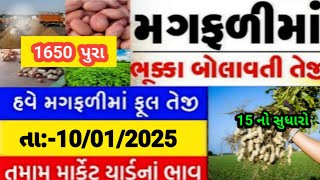 magfali na bhav | 10-01-2025 | મગફળી ના ભાવ:2025 | Information about cotton crop price | Commodity