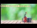 ドビュッシー ベルガマスク組曲 第3曲 月の光（2つのギター編）［ナクソス・クラシック・キュレーション ファンタジー お月見］／clair de lune for 2 guitars