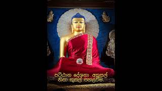 පට්ඨාන දේශනා..