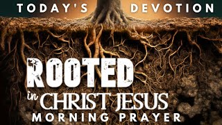 Rooted in Christ Jesus, Growing Strong in Faith l Today's Devotion