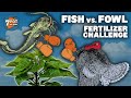 Fish vs. Fowl Organic Fertilizer Challenge (Fishnure vs. Suståne)