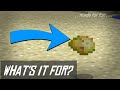 What is a Poisonous Potato For? I'll Show You! MINECRAFT