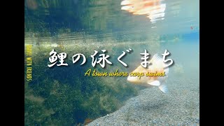 【長崎県】鯉の泳ぐまち　~長崎県島原~