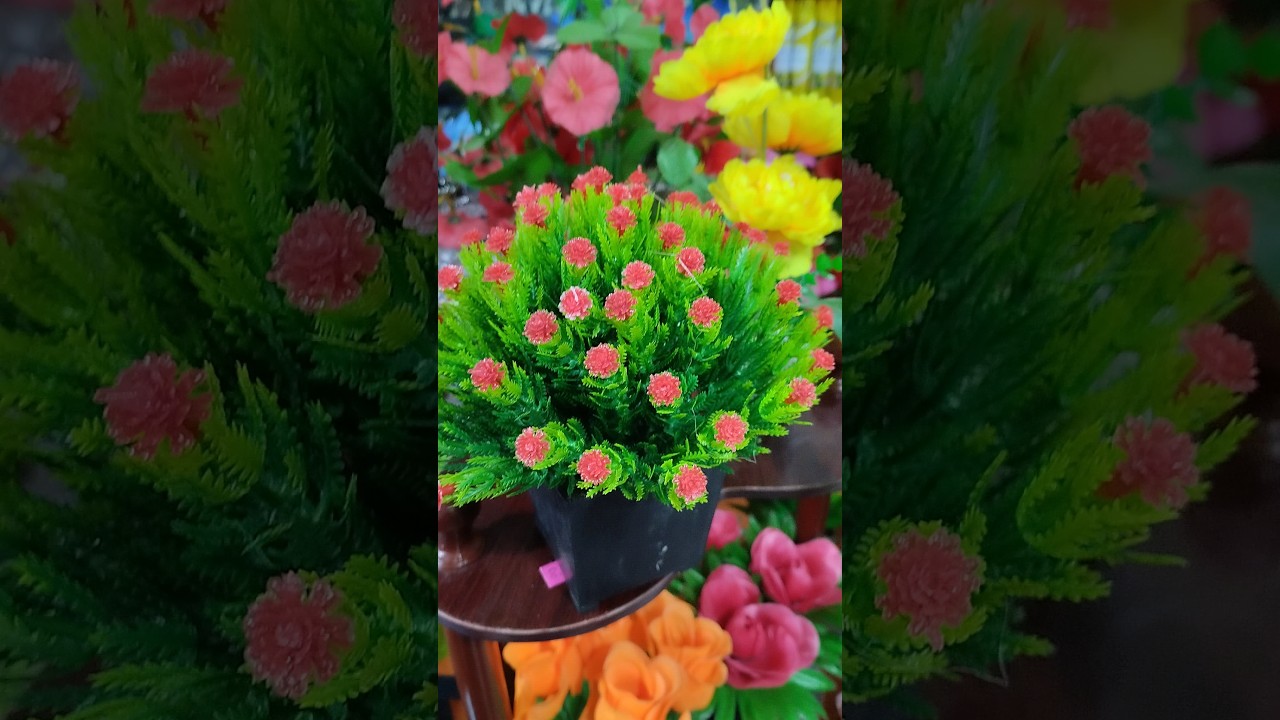 Flowers Garden Youtube