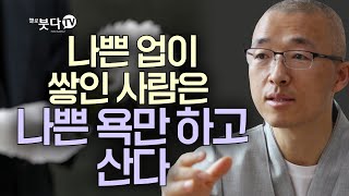 마음공부 인생조언 깨달음 불교 지혜 말씀 고민 상담 | 법상스님의 영가현각 증도가 98회(49_2)