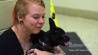 On the Job: Animal Care