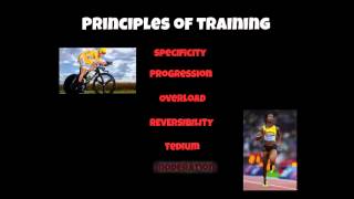 A2 PE Ex Phys Principles of Training