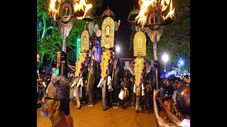 കോഴിക്കോട്  അഴകൊടി അയ്യപ്പ സേവാ സമിതി  അയ്യപ്പൻ വിളക്ക് മഹോത്സവം 2023 -  പാലക്കൊമ്പെഴുന്നള്ളത്ത്