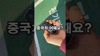 중국차 산다? 안산다? #비야디