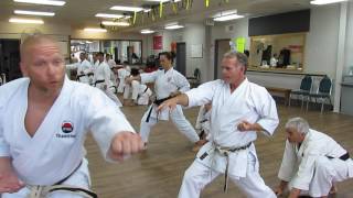 Oi-zuki Stepping Punch in Shotokan Karate