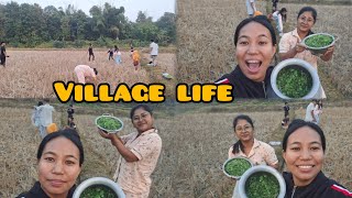 Village life tripura ✨️☺️|| Samsuta bang mani chini para☘️