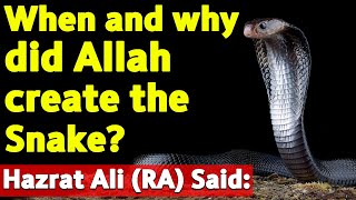 When And Why Did Allah Create The Snake? Hazrat Ali (R.A) Said