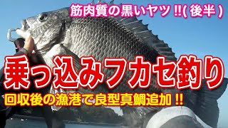 【チヌ/黒鯛】乗っ込みフカセ釣りで筋肉質の黒いヤツをゲット!!（後半）｜Aim for black sea bream with Fukase fishing.