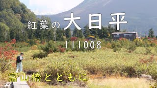 ２０１１大日平の紅葉　富山橋とともに