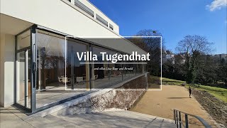 Tugendhat Villa vs Löw-Beer Villa Which is the REAL Masterpiece?