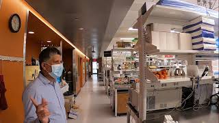 Virtual Lab Tour: Neuroscience with Dr. Mohanish Deshmukh at UNC-Chapel Hill