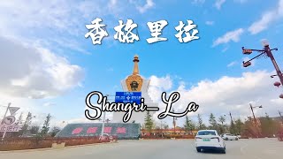 中国云南 香格里拉 松茸 丽香铁路 Shangri-La