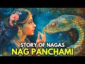 Full Story Of Nagas - Nag Panchami Festival