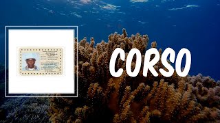 CORSO (Lyrics) - Tyler