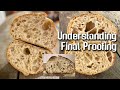 Understanding FINAL PROOFING in sourdough bread making. | by JoyRideCoffee