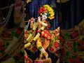 he gopal krishna karu aarti teri🌺 he priyapati radhekrishna bhajan🌺 radheshyam 🌺 krishna song🌺