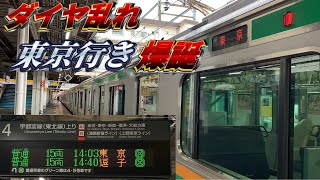 【ダイヤ乱れで爆誕】上野東京ラインの東京行きに乗ってきた。