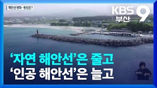 ‘자연 해안선’은 줄고 ‘인공 해안선’은 늘고 / KBS  2023.06.23.