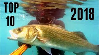 PESCASUB: Top 10 - Il meglio del 2018