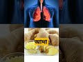 ফুসফুস পরিষ্কার করে lungs detox foods healthy too easy short