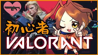 【VALORANT】初心者ランク（アイアン３）　目指せブロンズよわよわアリさん🐜【姫蟻エイル/Vtuber】