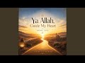 Ya Allah, Guide My Heart