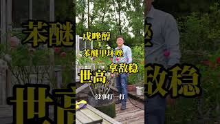 七彩月季完结【天狼说月季】