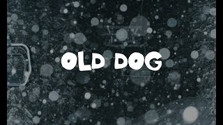 Old Dog - TREW To You 2024