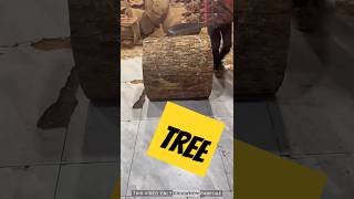 Watch This Man Turn a Block of Wood into a Masterpiece Using Only a Chainsaw! #woodworking #shorts