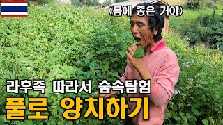 칫솔, 치약없이 양치하는 법, 라후족 Ep2 | 태국 【세계일주 18】